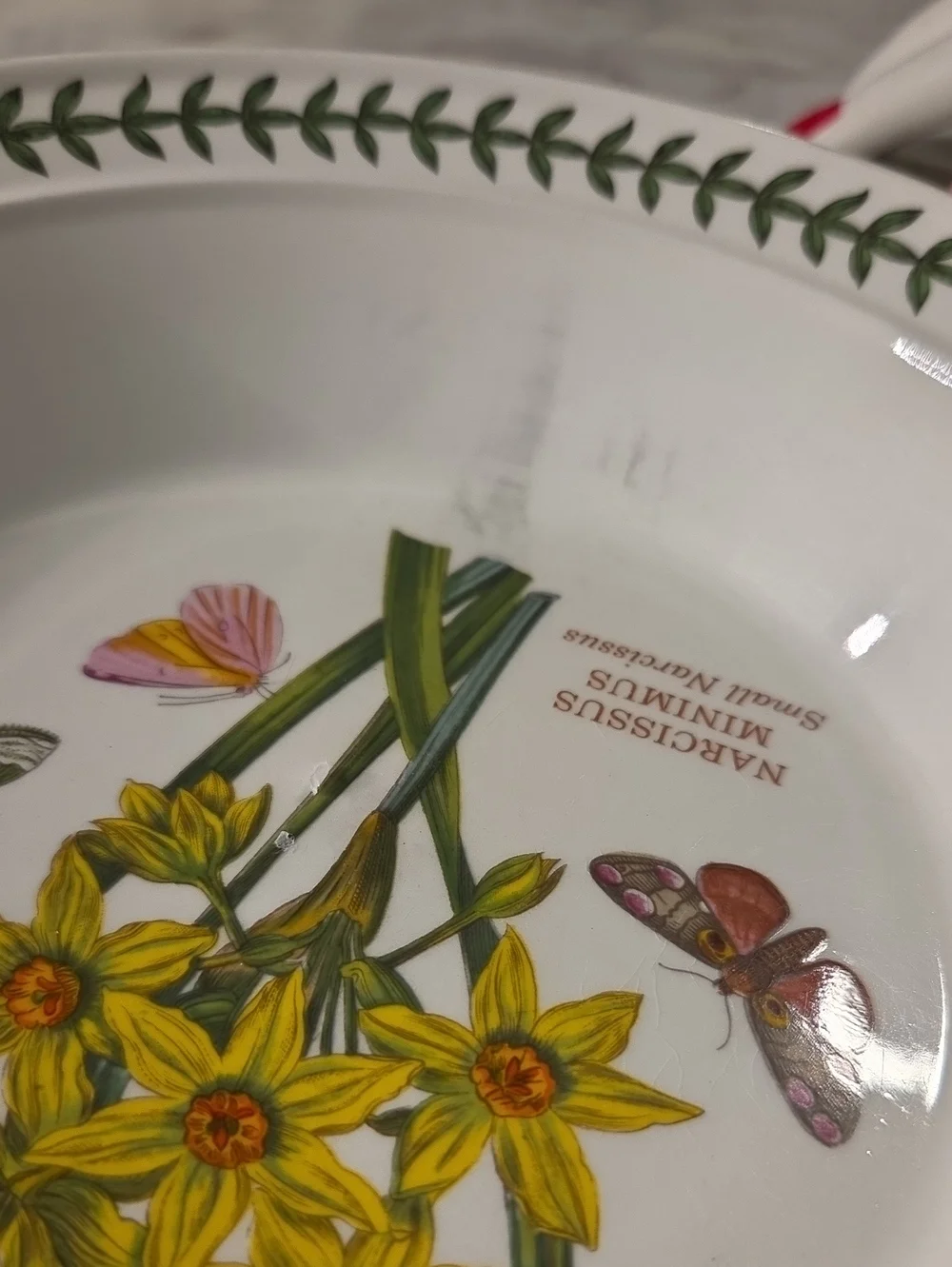 Portmeirion The Botanical Garden Salad / Pasta / Bowls (Set of 4)